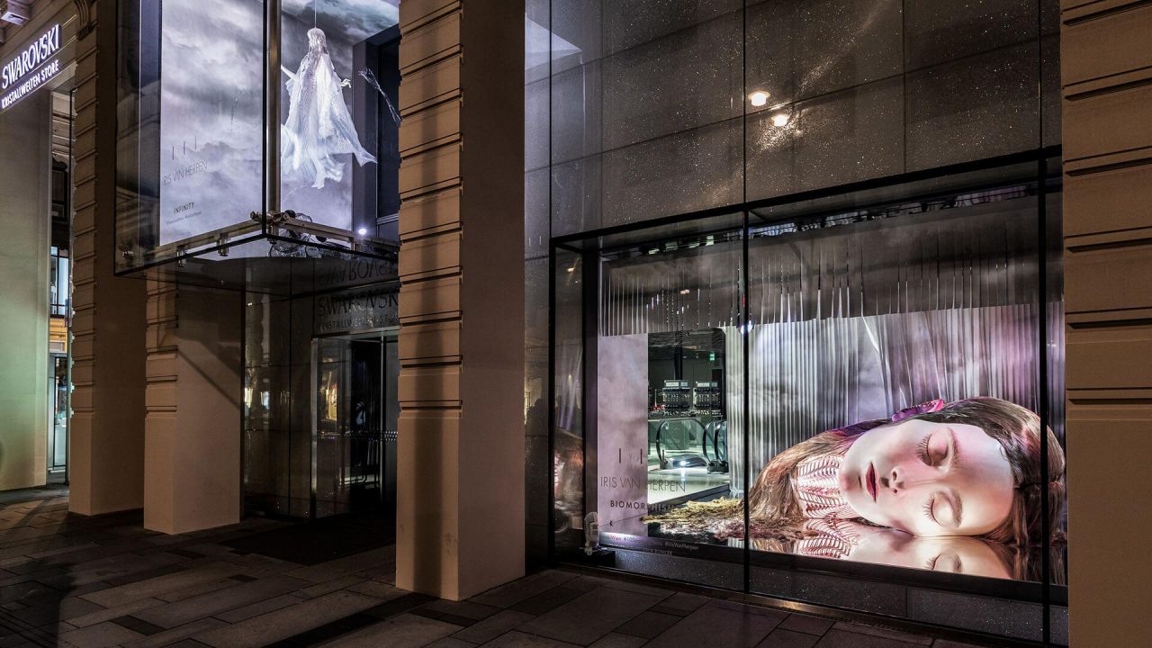 'Biomorphism' storefront installation