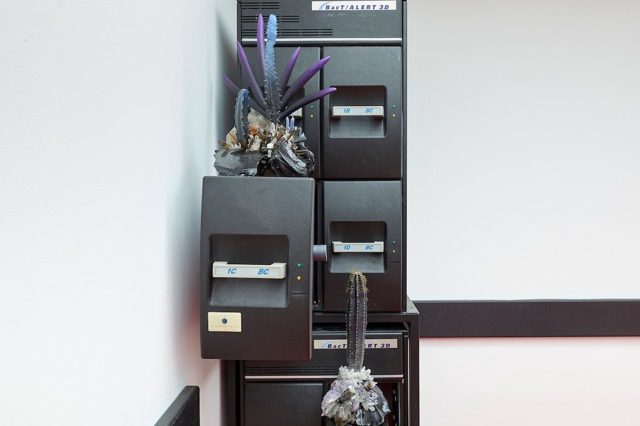 Jonah Freeman & Justin Lowe Present Alternate Environments in Immersive London Installation | 10