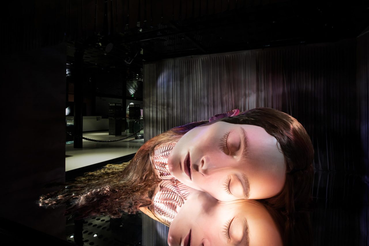 Swarovski x Iris van Herpen - Swarovski x Iris van Herpen