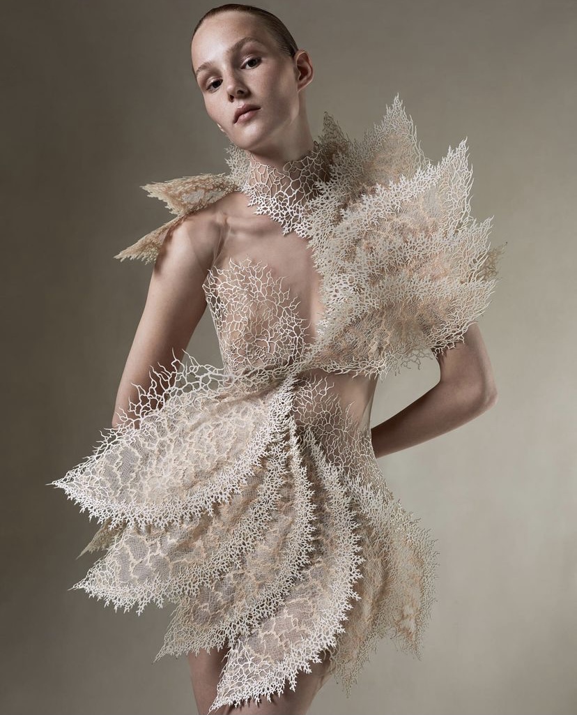 'Earthrise' - IMG_6063