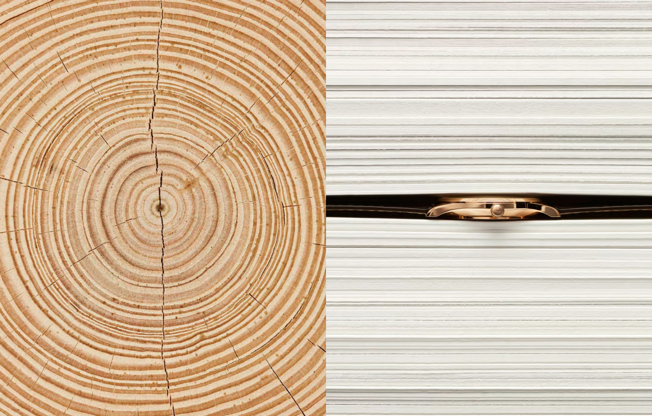 Fonata campaign - Fonata campaign