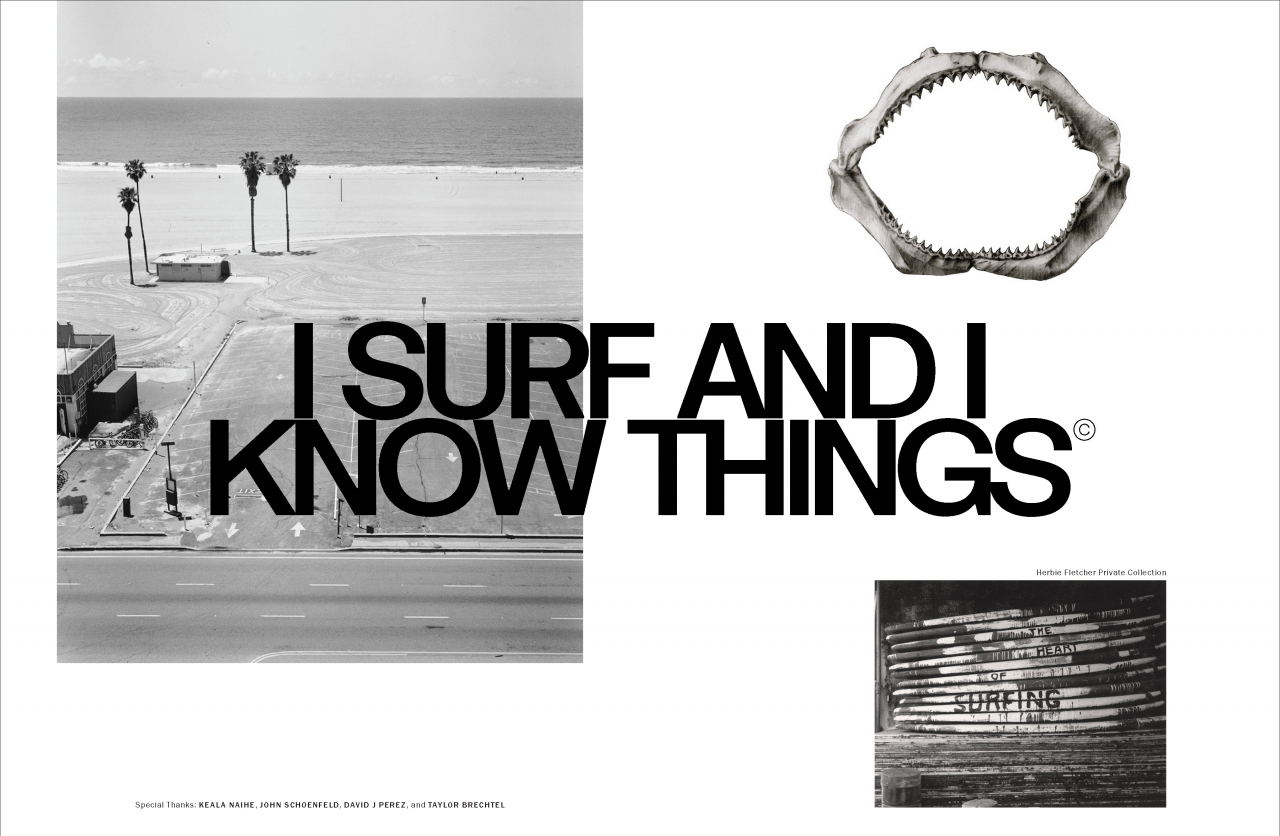 At Large Magazine 15