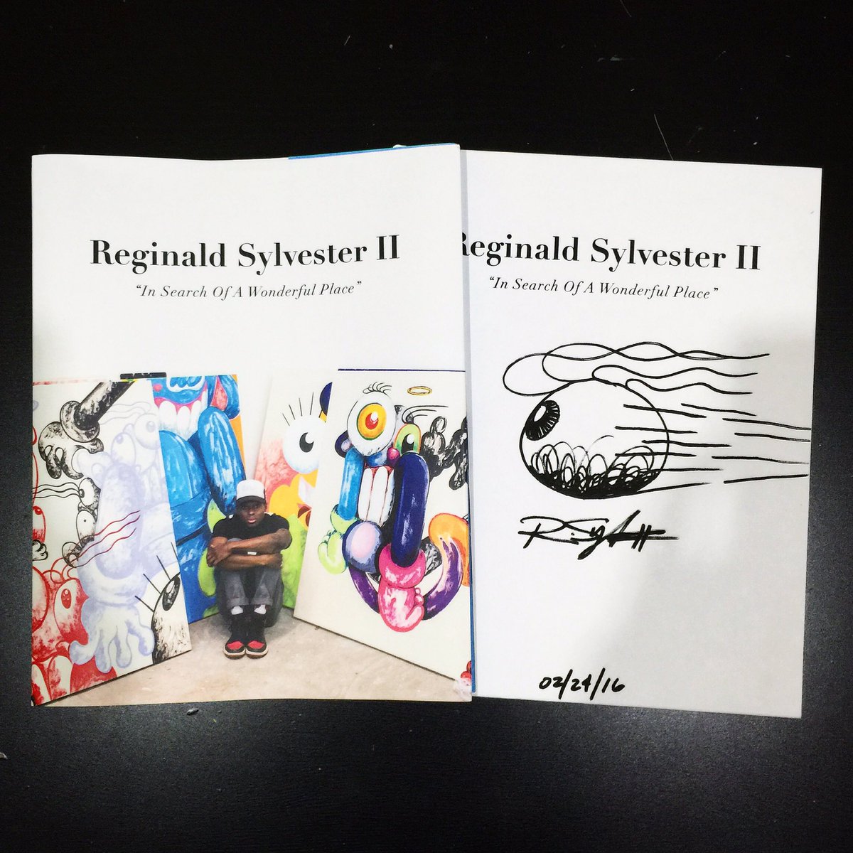 REGINALD SYLVESTER II - In Search of a Wonderful Place
