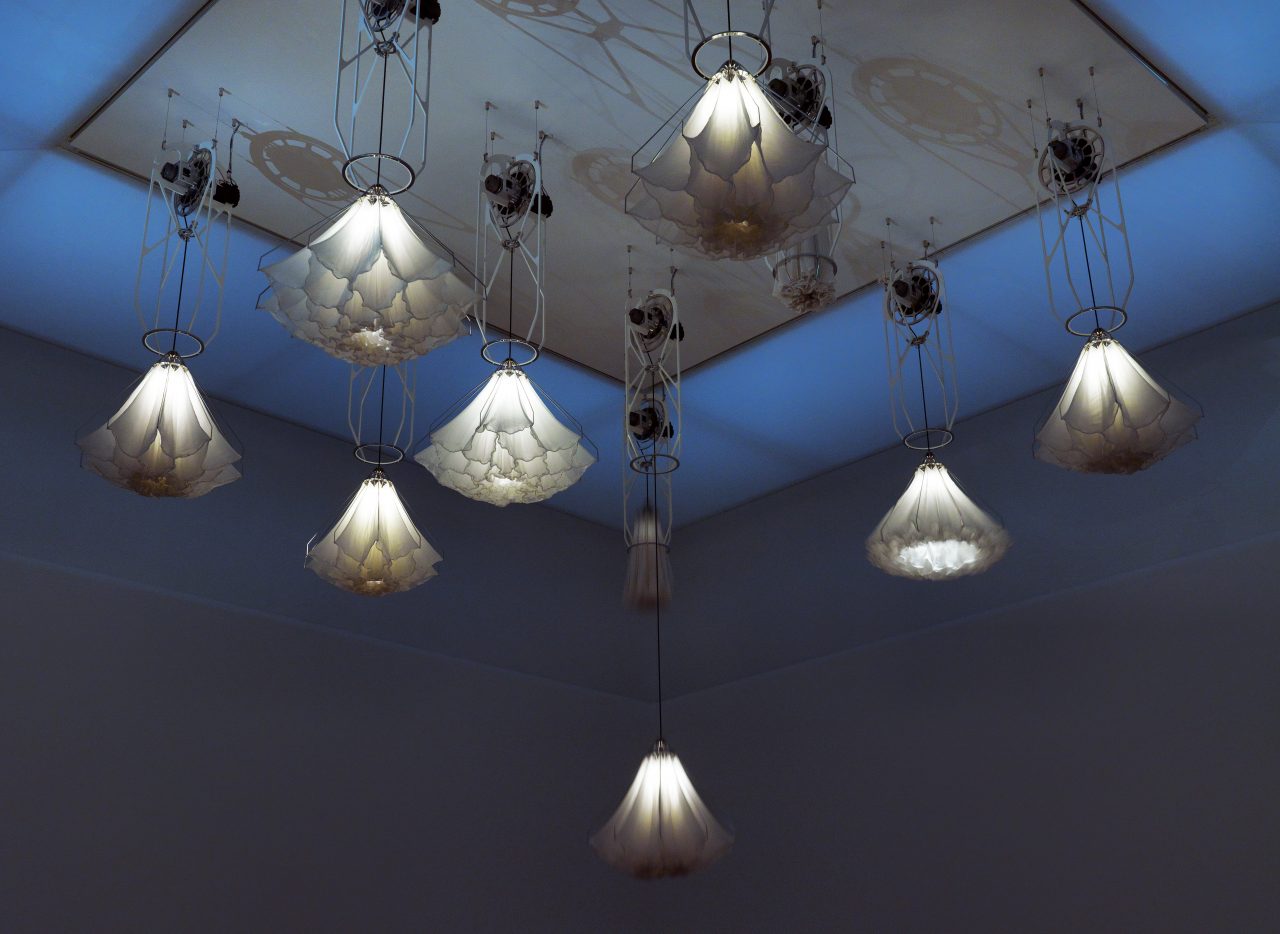 Shylight