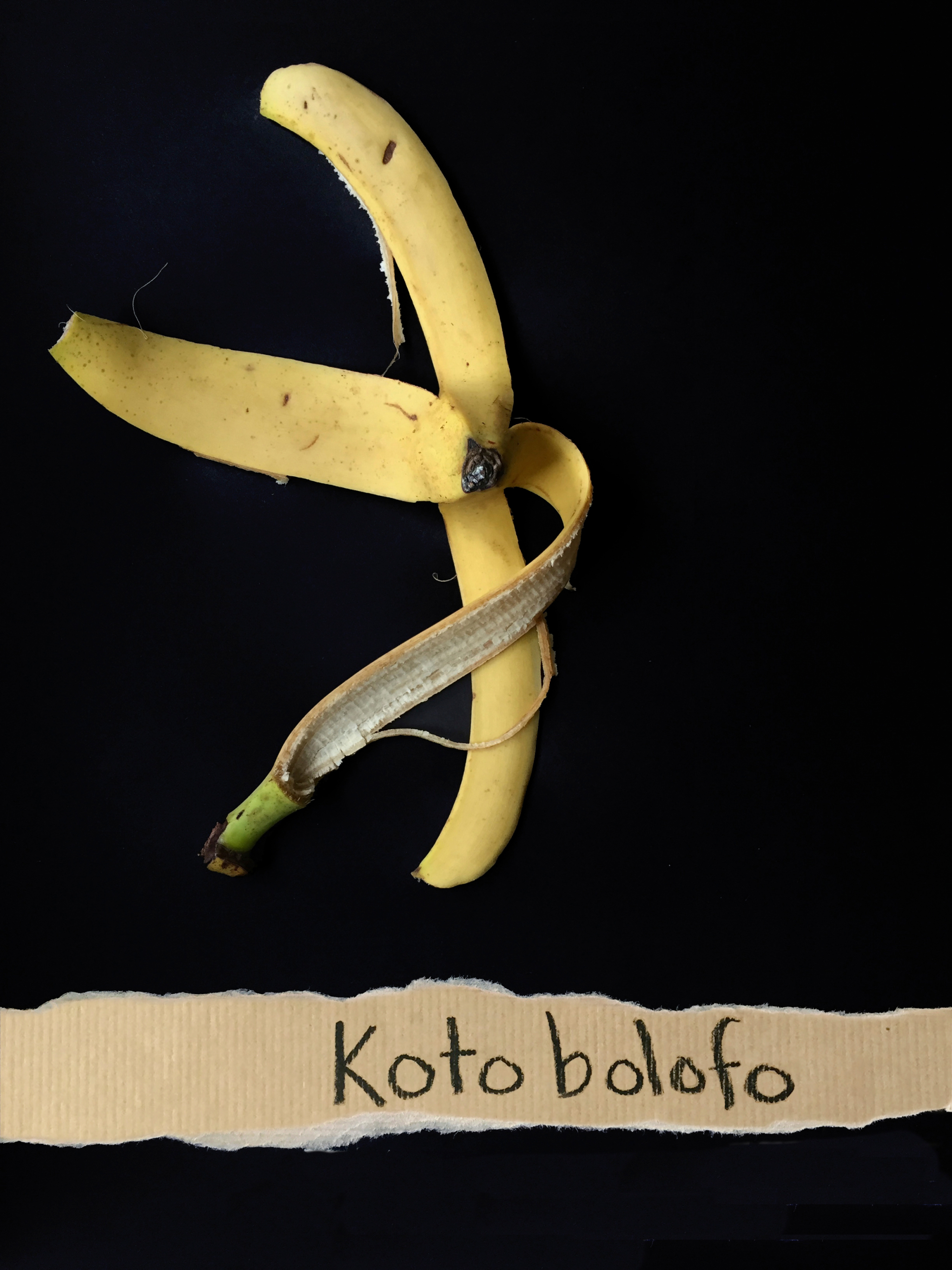 Koto Bolofo | Banana Art  | 1