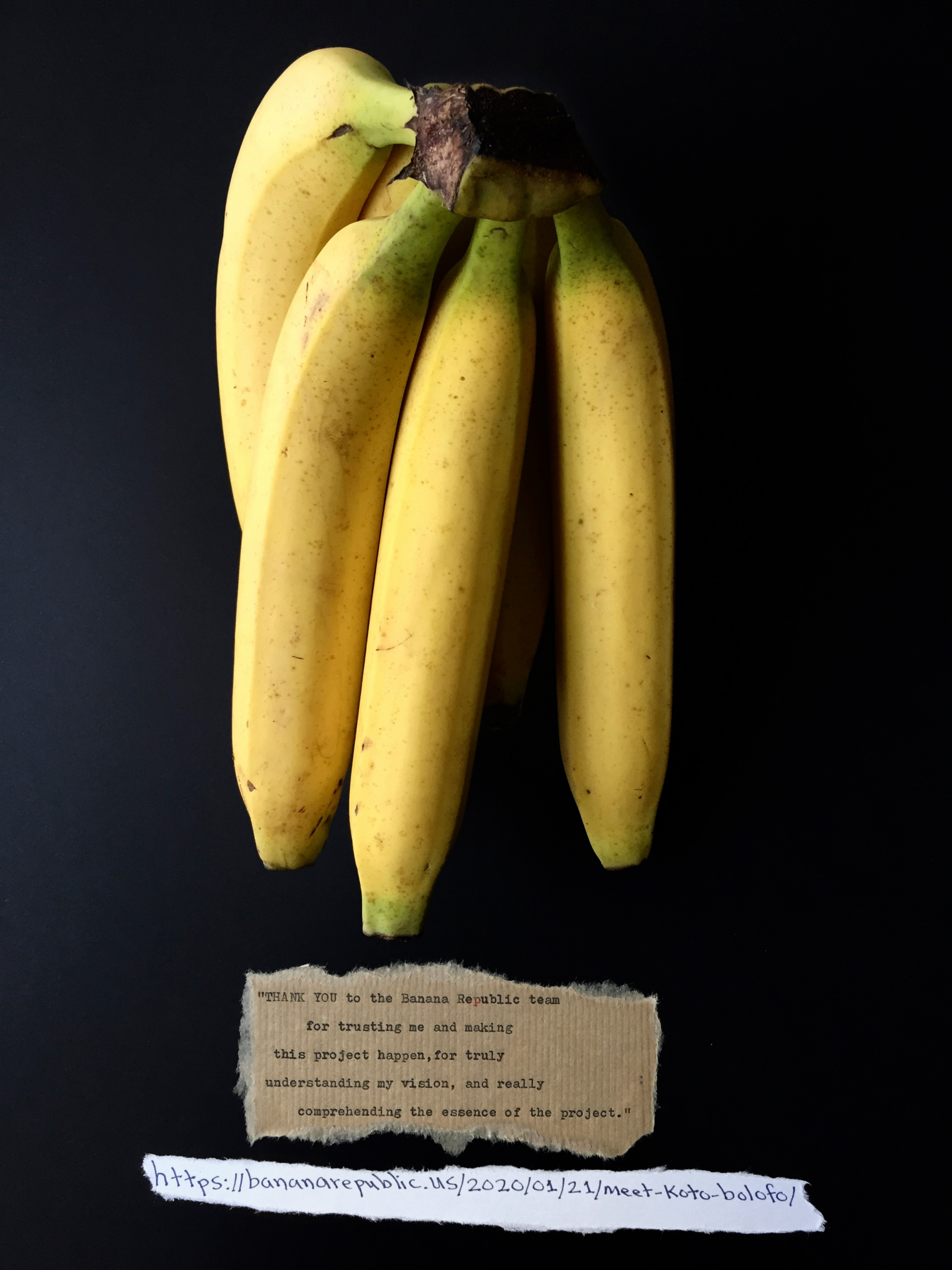 Koto Bolofo | Banana Art  | 14