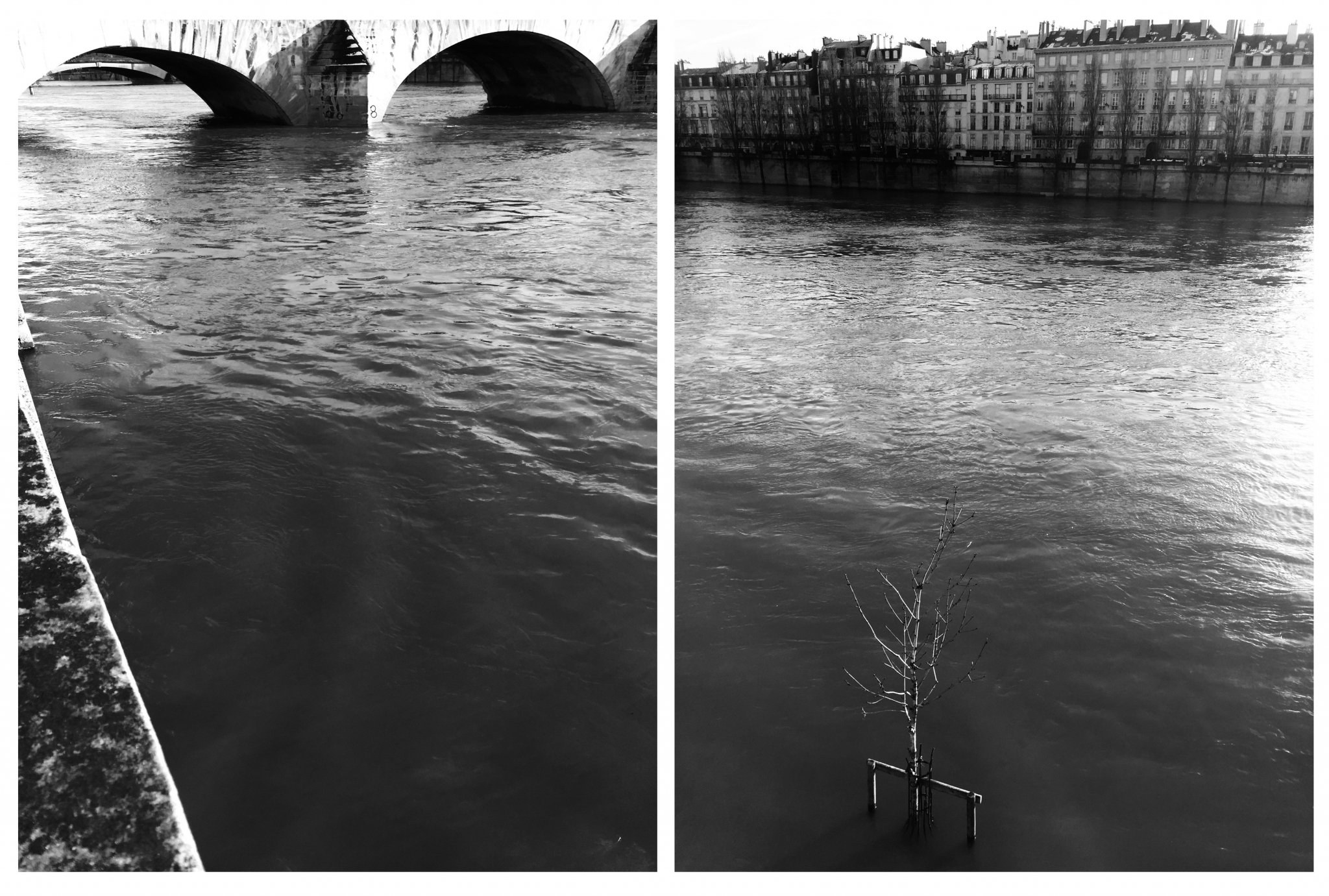 Koto Bolofo | La Seine | 3