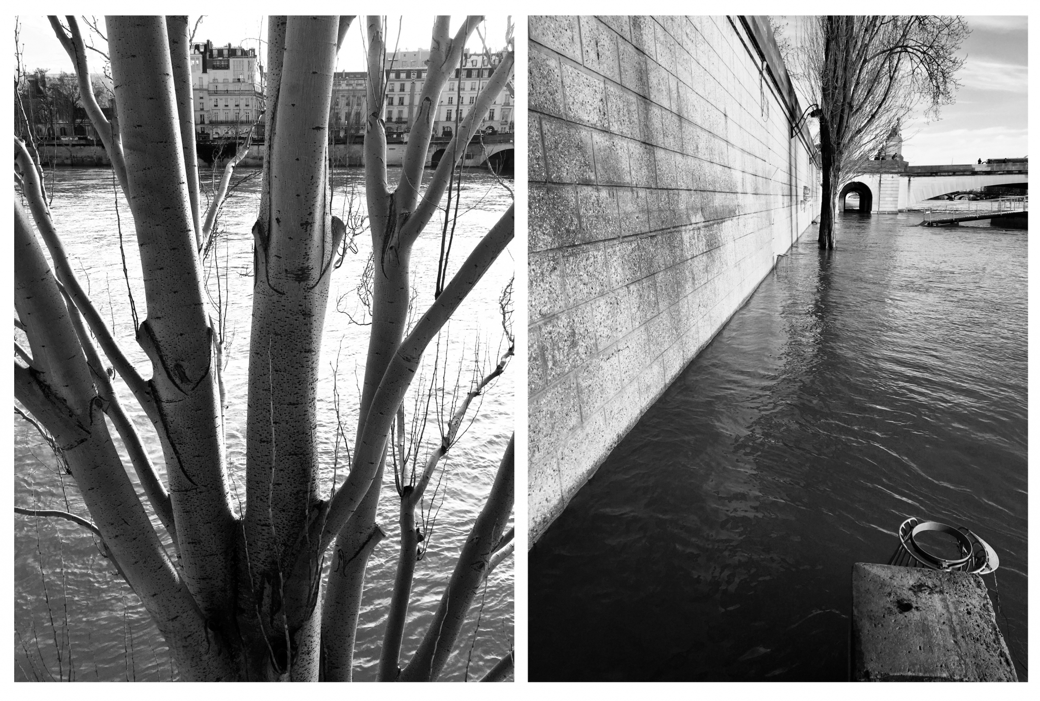 Koto Bolofo | La Seine | 4