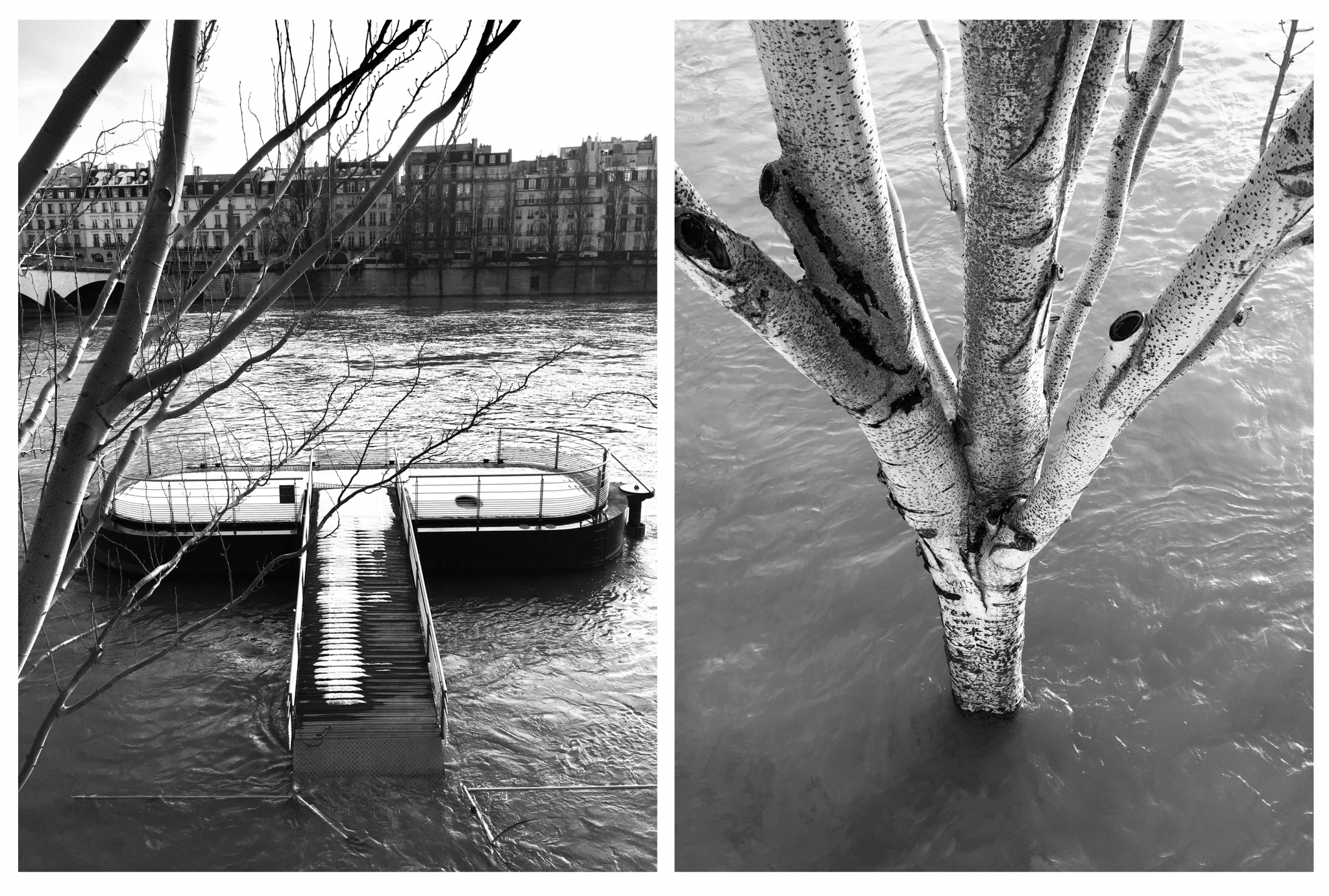 Koto Bolofo | La Seine | 7