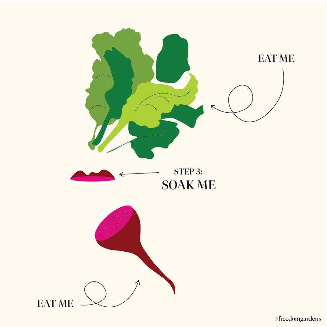 Studio Lily Kwong Visuals - Studio Lily Kwong Visuals