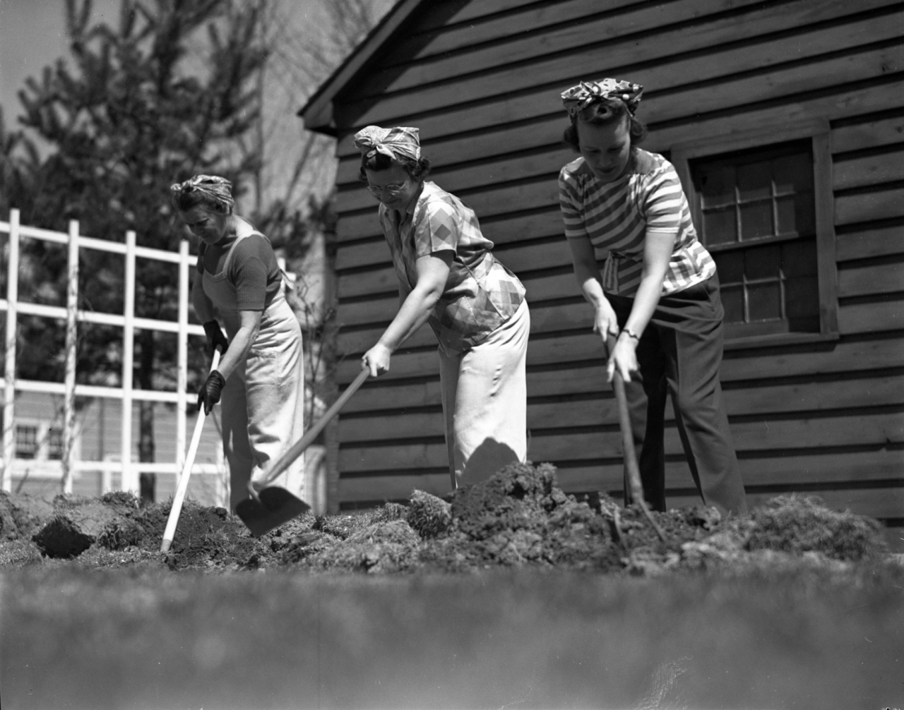 Ann Arbor News 1943