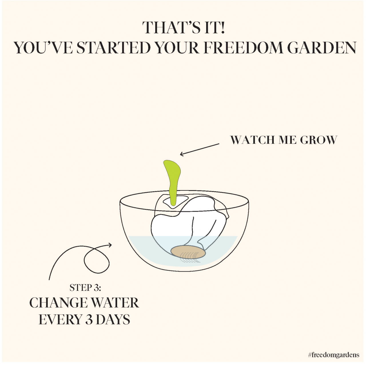 Studio Lily Kwong Visuals - Freedom-Garden-Lettuce-Diagrams-copy_Page_3