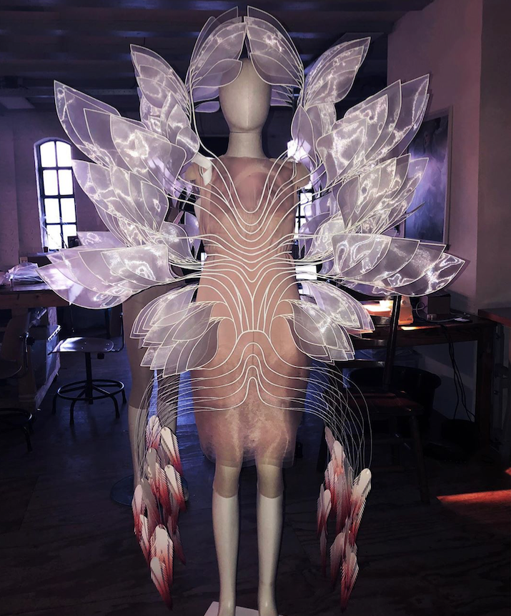 Björk x Iris van Herpen - Björk x Iris van Herpen