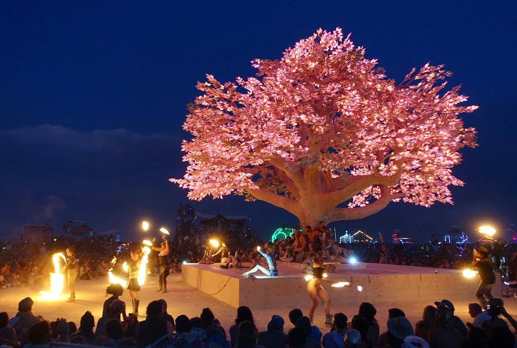 Tree of Ténéré - 36243272193_ef9c992193_b