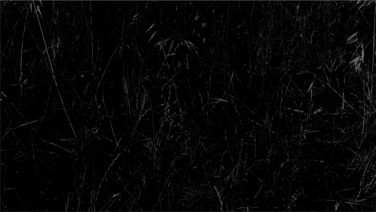 Screen Shot 2020-05-20 at 7.20.28 PM