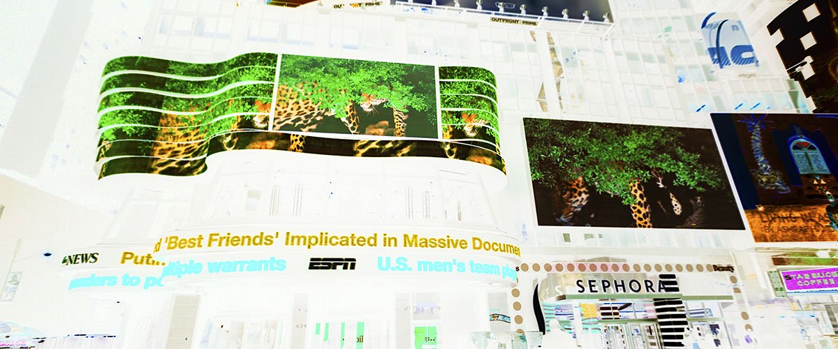 JUNGLE-IZED: A Conversation with Nature - JUNGLE-IZED: A Conversation with Nature