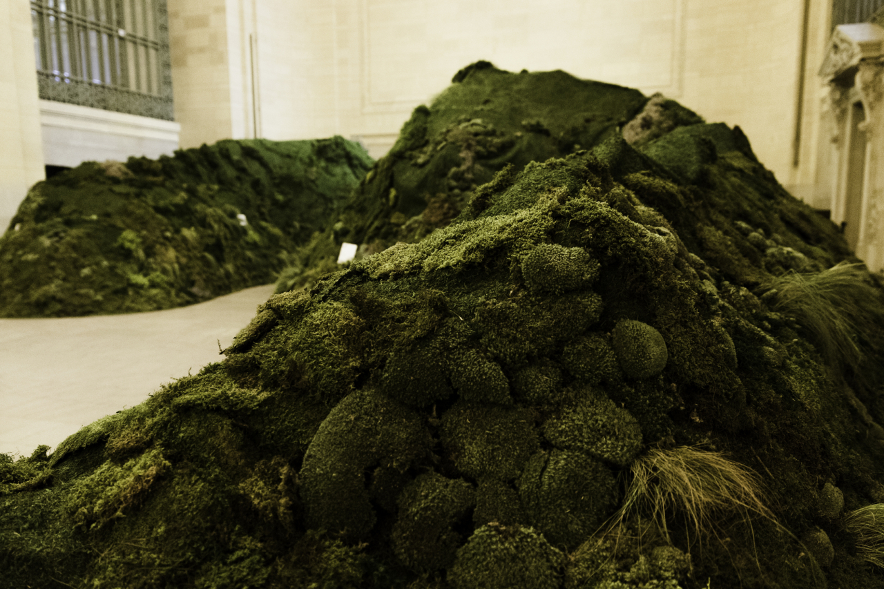 Copy of GCT_ORKADIA-20-2100x1400-0aed2803-c8c7-4c65-a8f1-724b9276d218 (1)