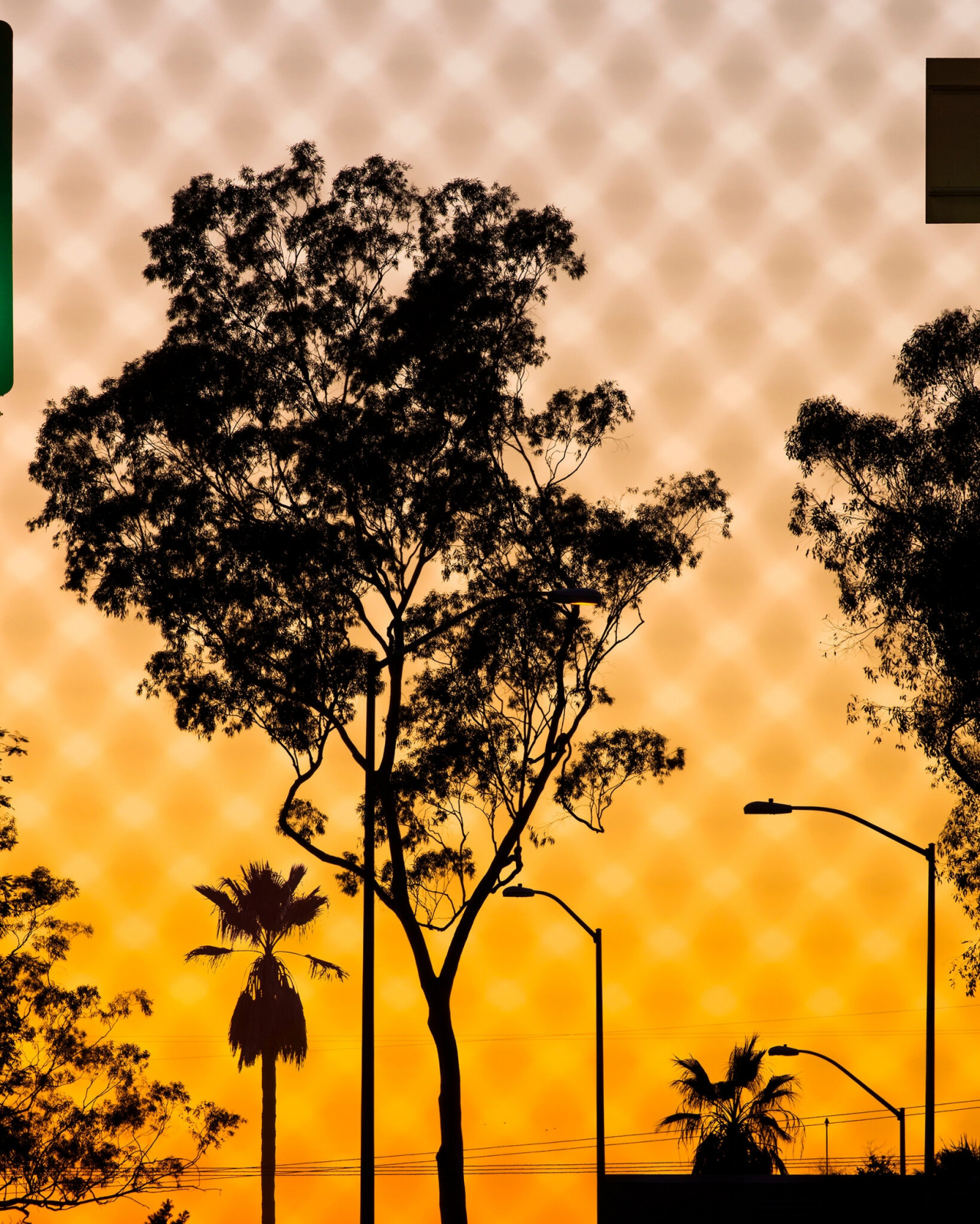 3 Art Gallery Shows to See Right Now | 2