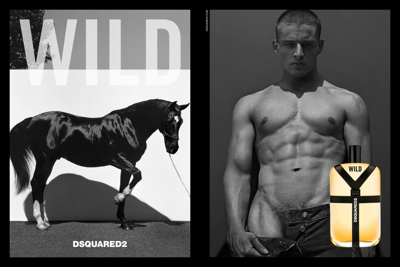 DSquared2 Wild