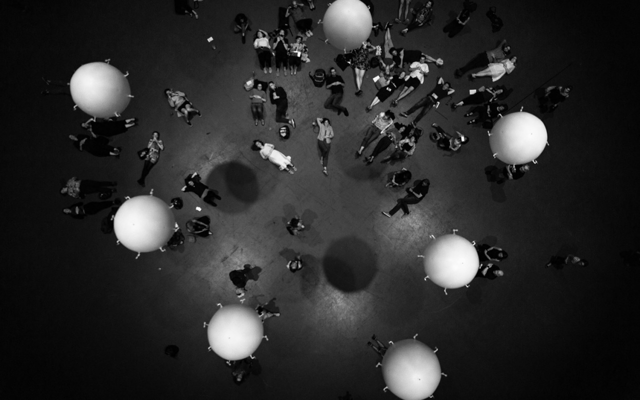 Zoological-RandomInternational