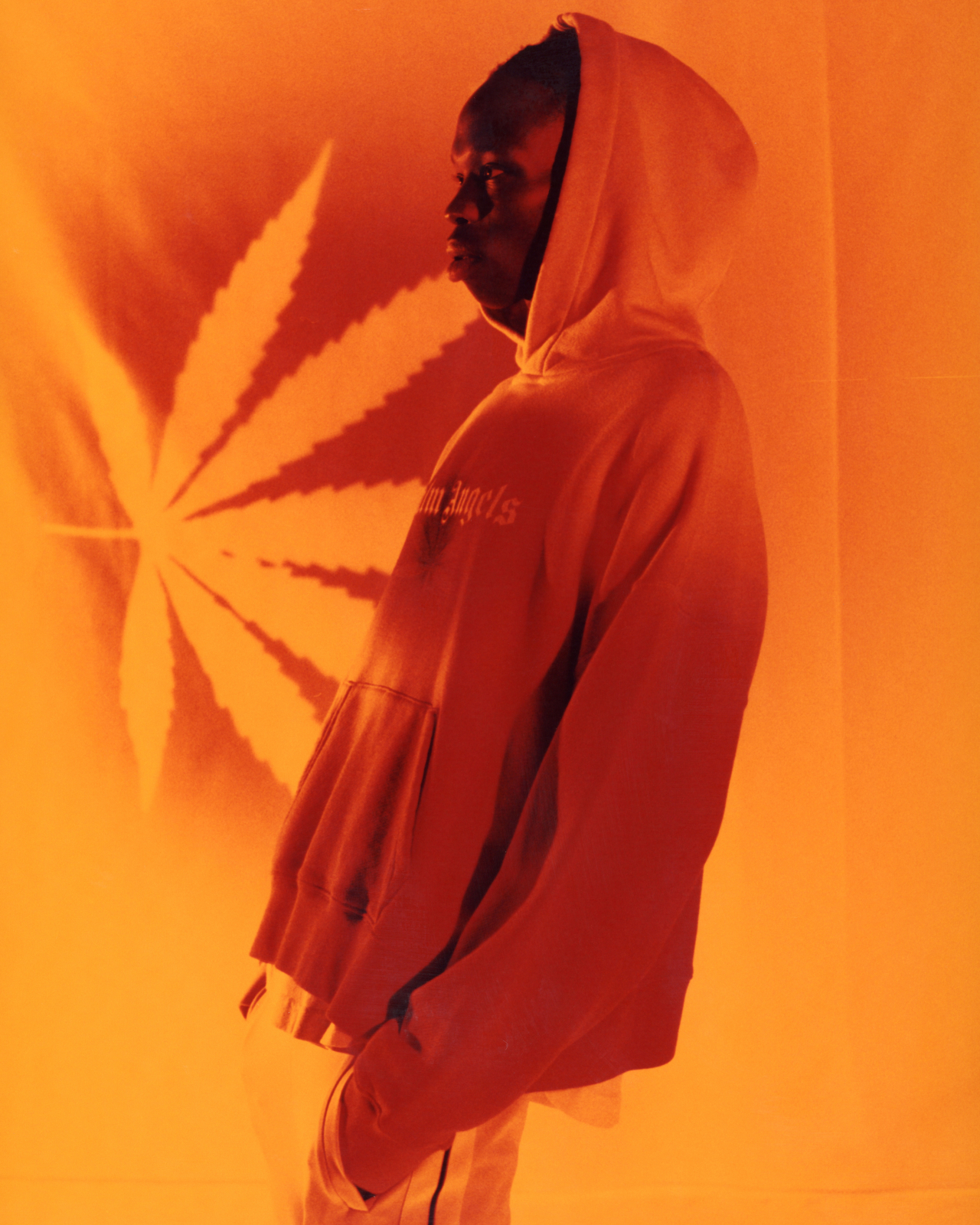 Palm Angels x The Webster campaign - Palm Angels x The Webster campaign