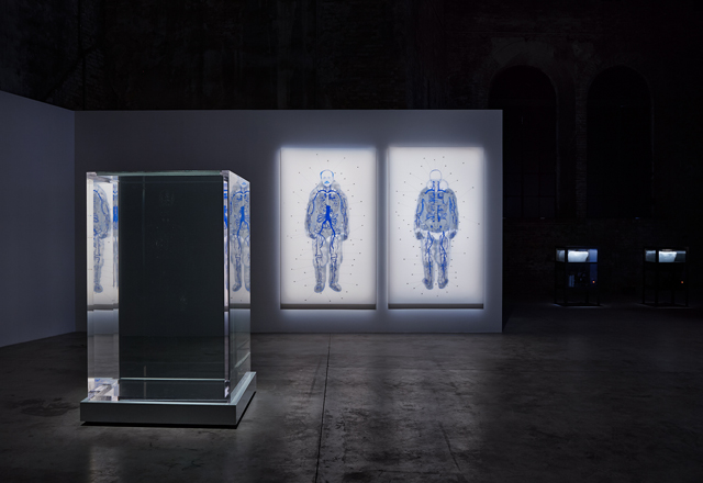 'Polar Eclipse,' Bahamas Pavilion at the 55th International Art Exhibition–La Biennale di Venezia, 2013 - 'Polar Eclipse,' Bahamas Pavilion at the 55th International Art Exhibition–La Biennale di Venezia, 2013