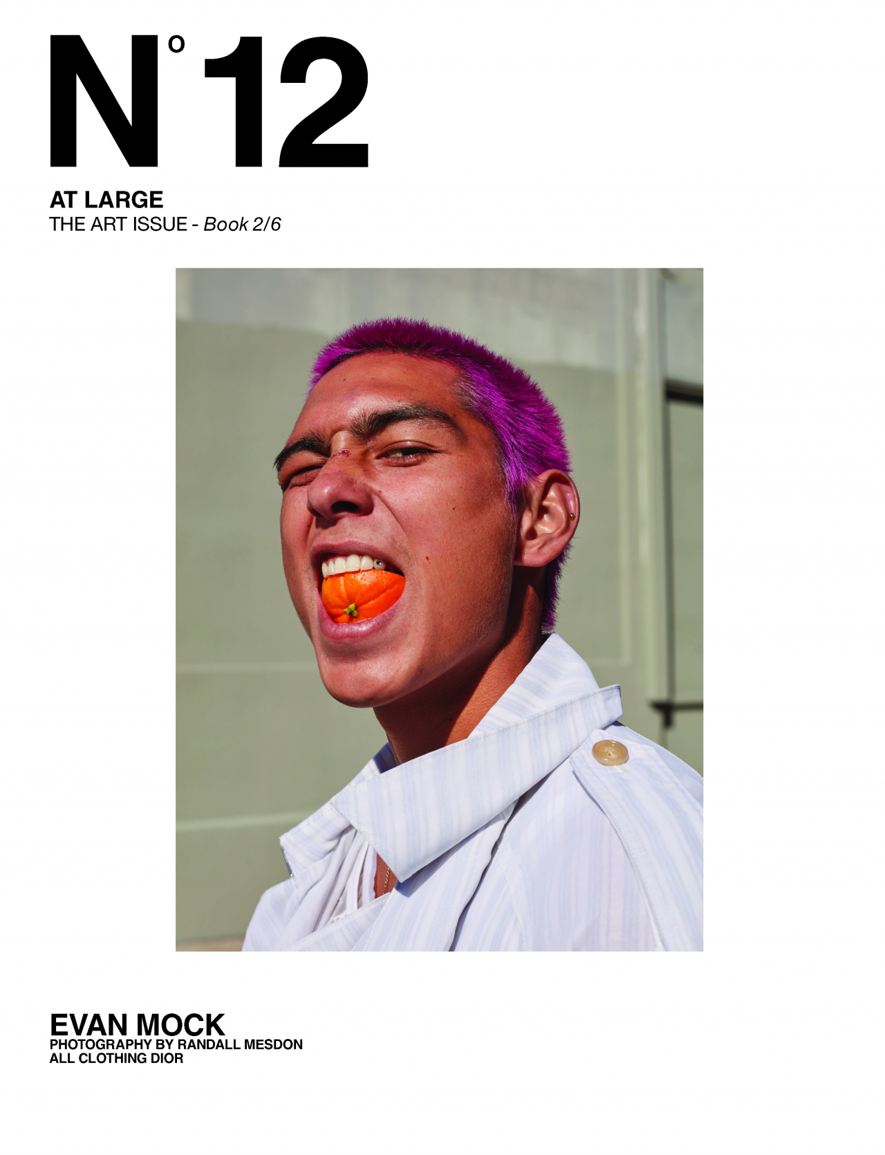 At Large magazine: Evan Mock