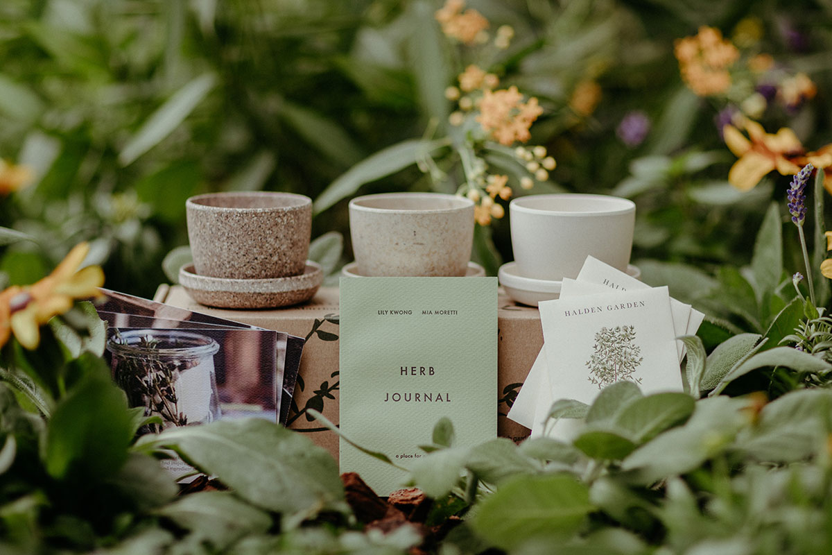 JW Marriott Herb Garden Kit curated by Lily Kwong