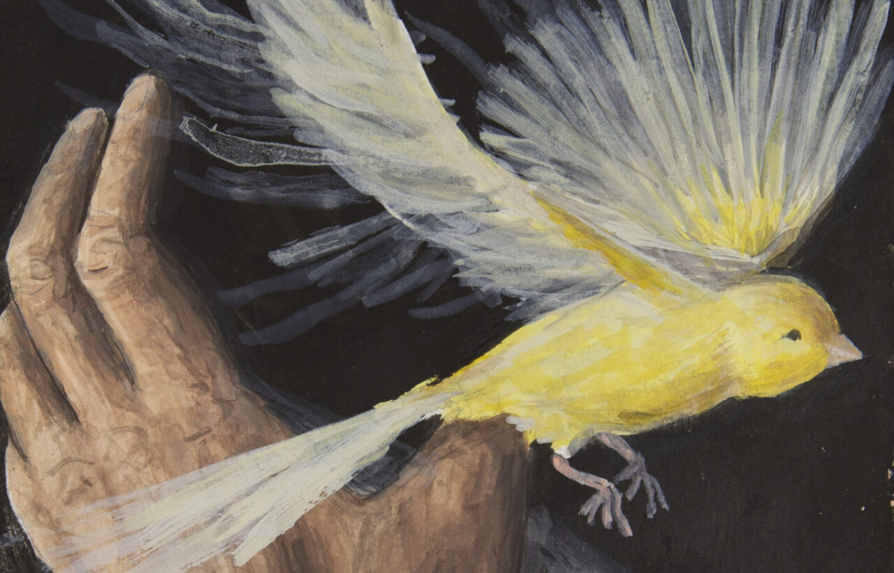 A Magazine Curated by Francesco Risso