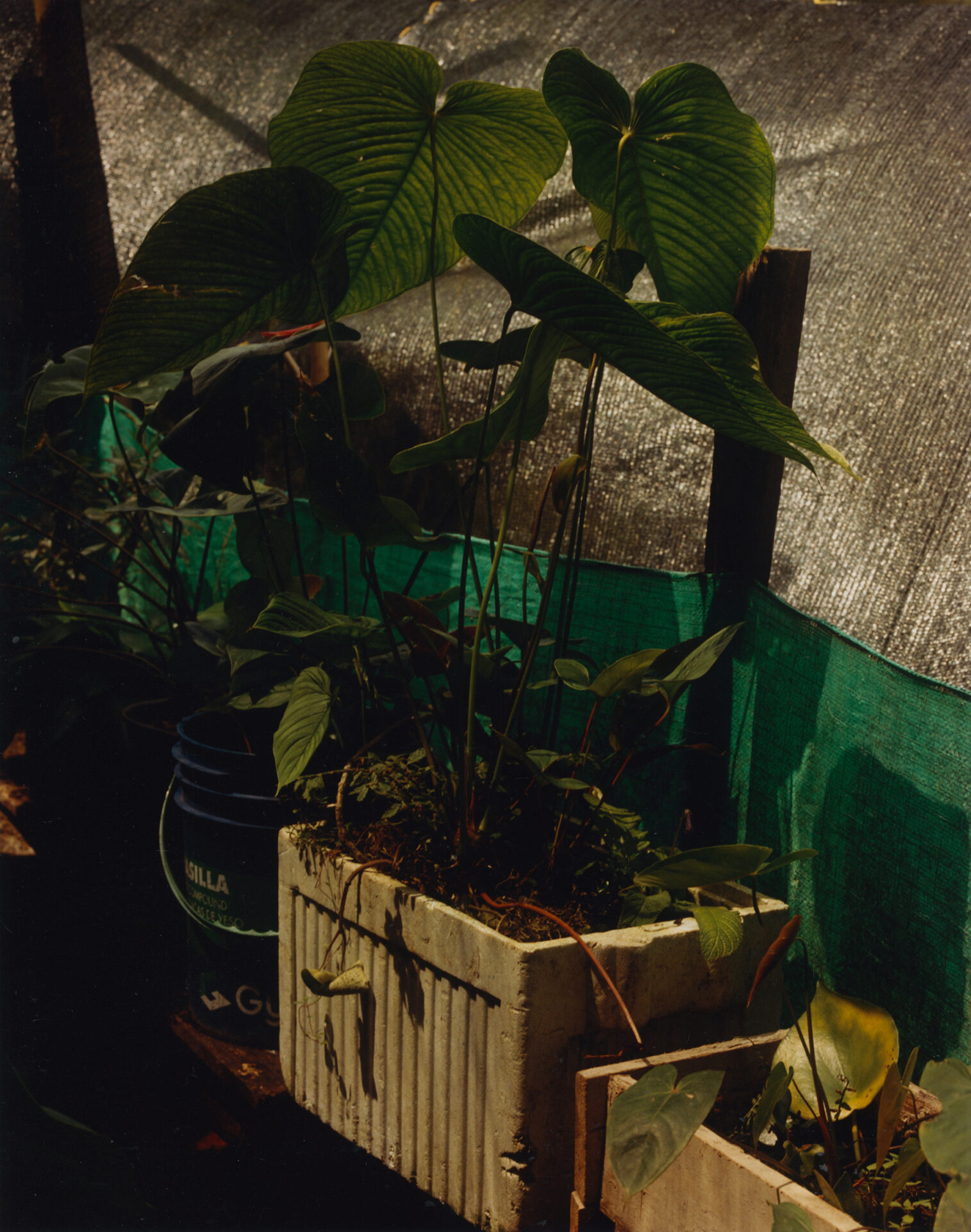 Colombia018