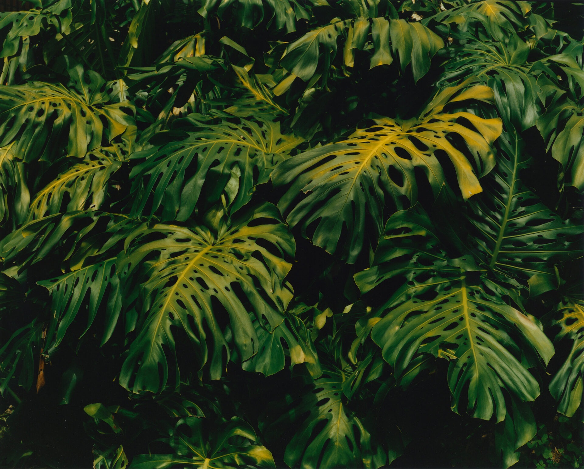 Colombia022