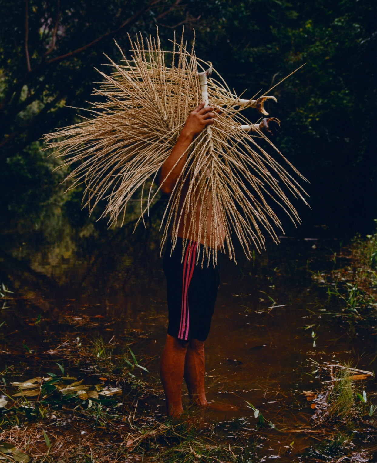 85d181b04720d6ec2762da1d0042d933e8cbbd2b-5010x3189