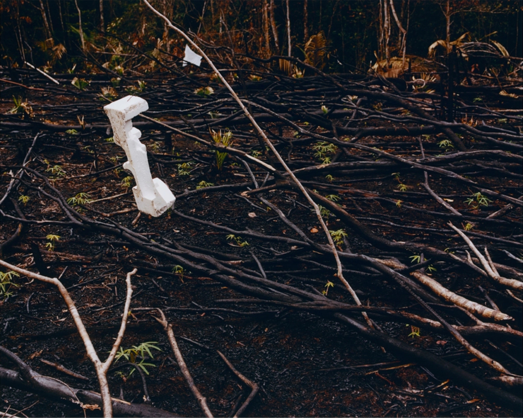 The conuco or chagra: each family cultivates its own small field, using the method of slash-and-burn, where small areas are burned and cleared for planting. Sustainably, the indigenous rotate their cultivation every two years.