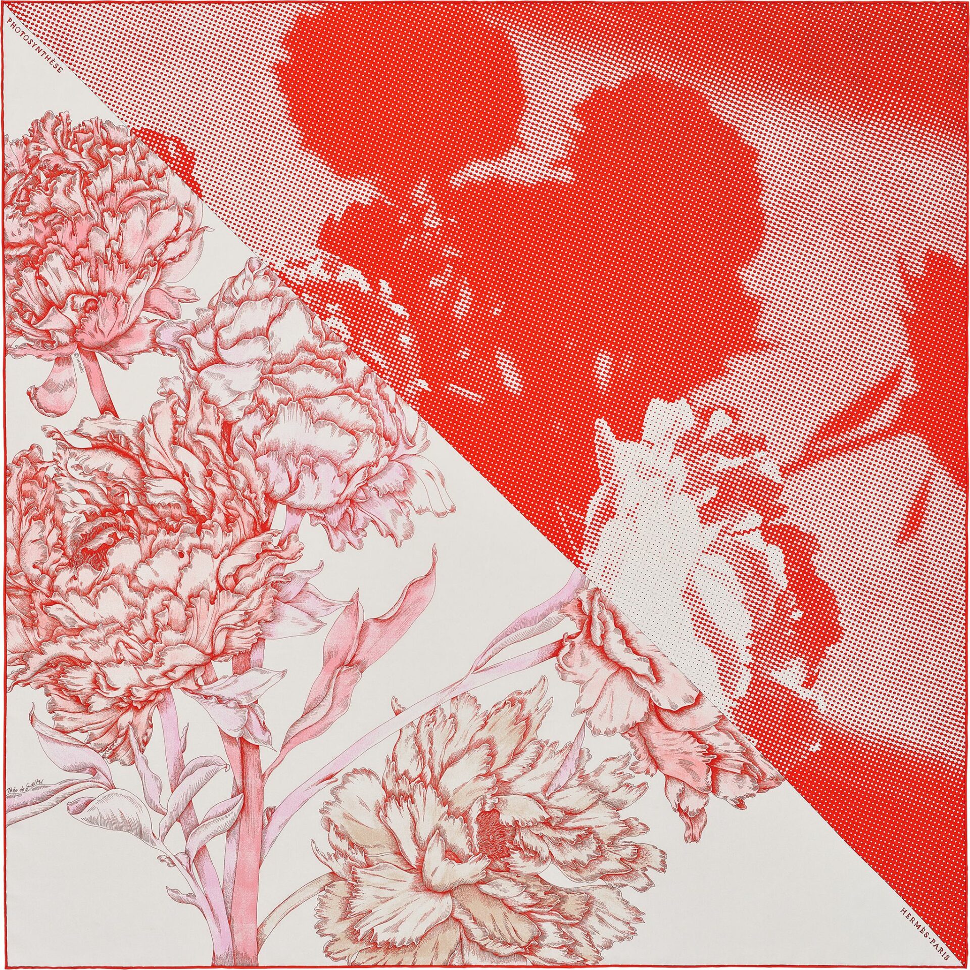 Hermès: Photosynthese