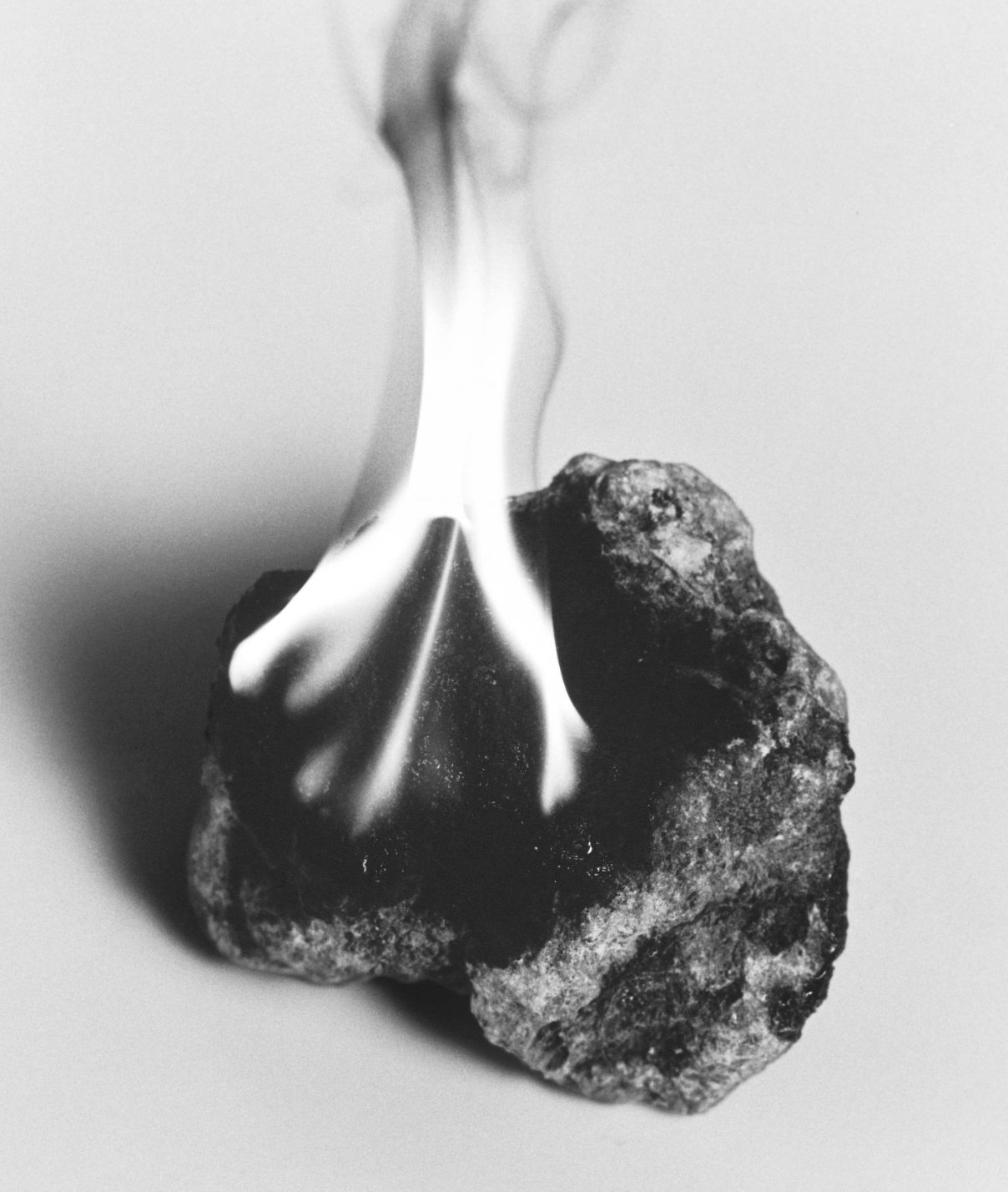 Francisco Costa on using fermentation to synthetically produce natural ingredients | 4