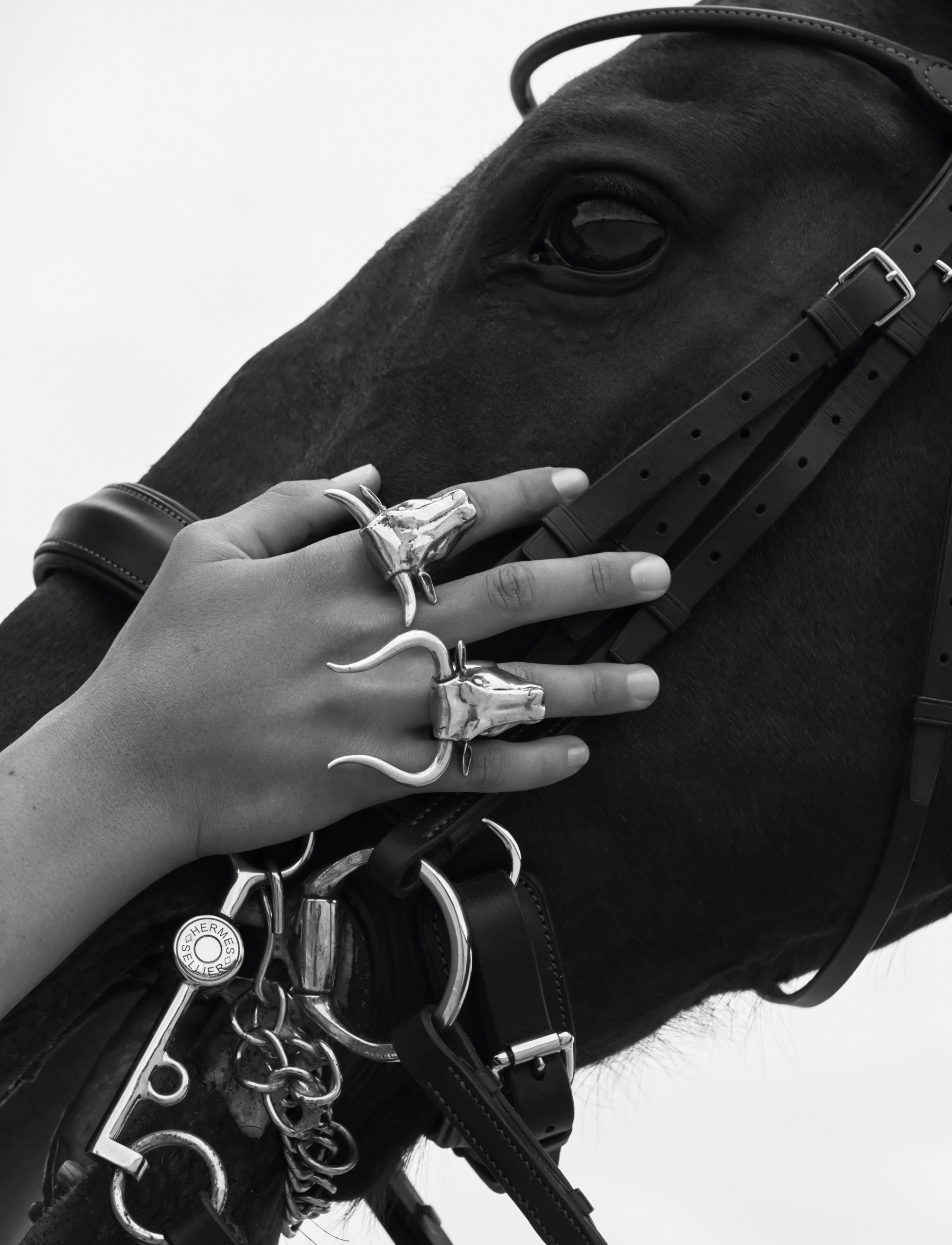 Numéro: Horse by Koto Bolofo — Creative Exchange Agency