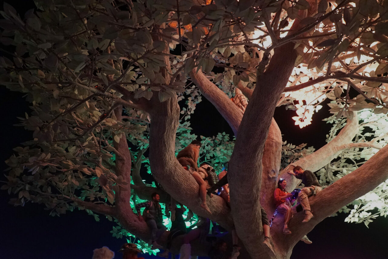 tree-of-tenere-studio-drift_dezeen_2364_col_4