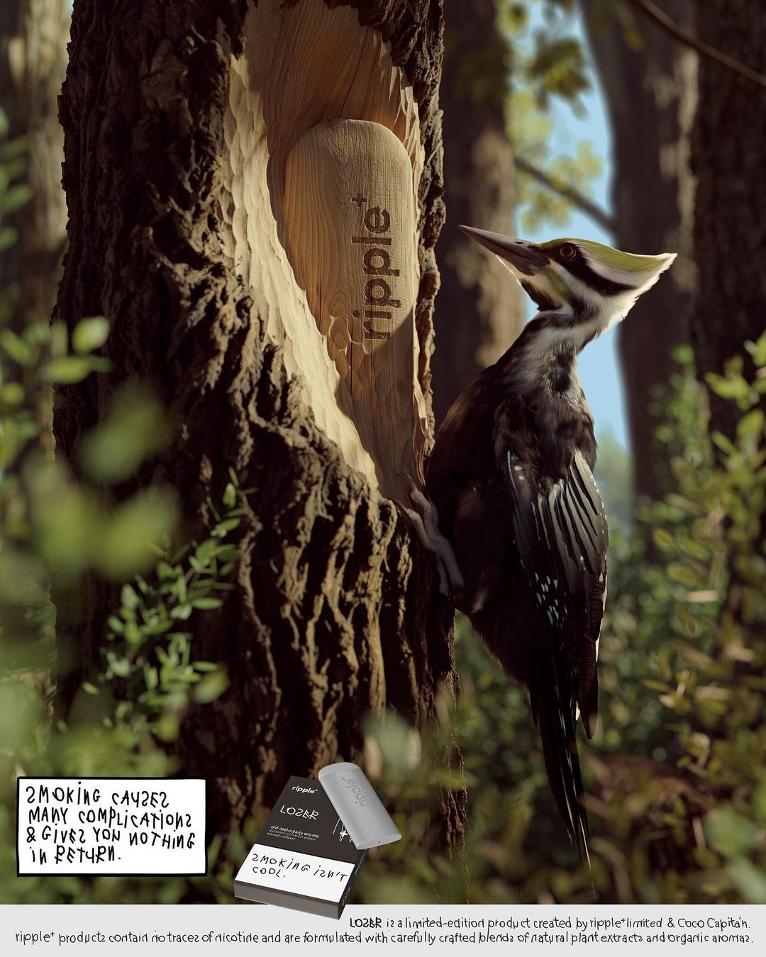 Ripple+ x Coco Capitán