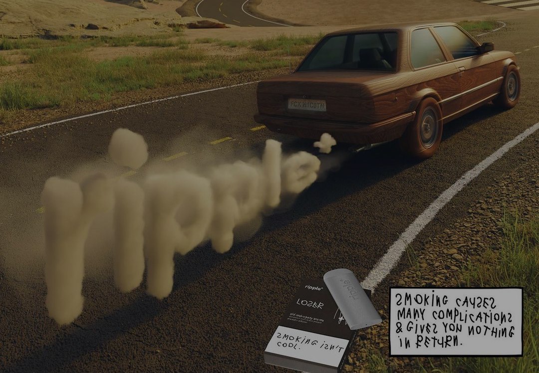 cococapitSSan_358390432_1368002970424456_4669648564803972052_n copy