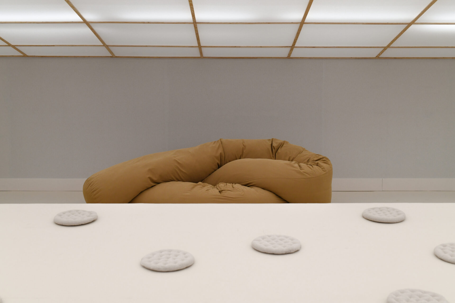 Dan Thawley | MATTER & SHAPE | 8