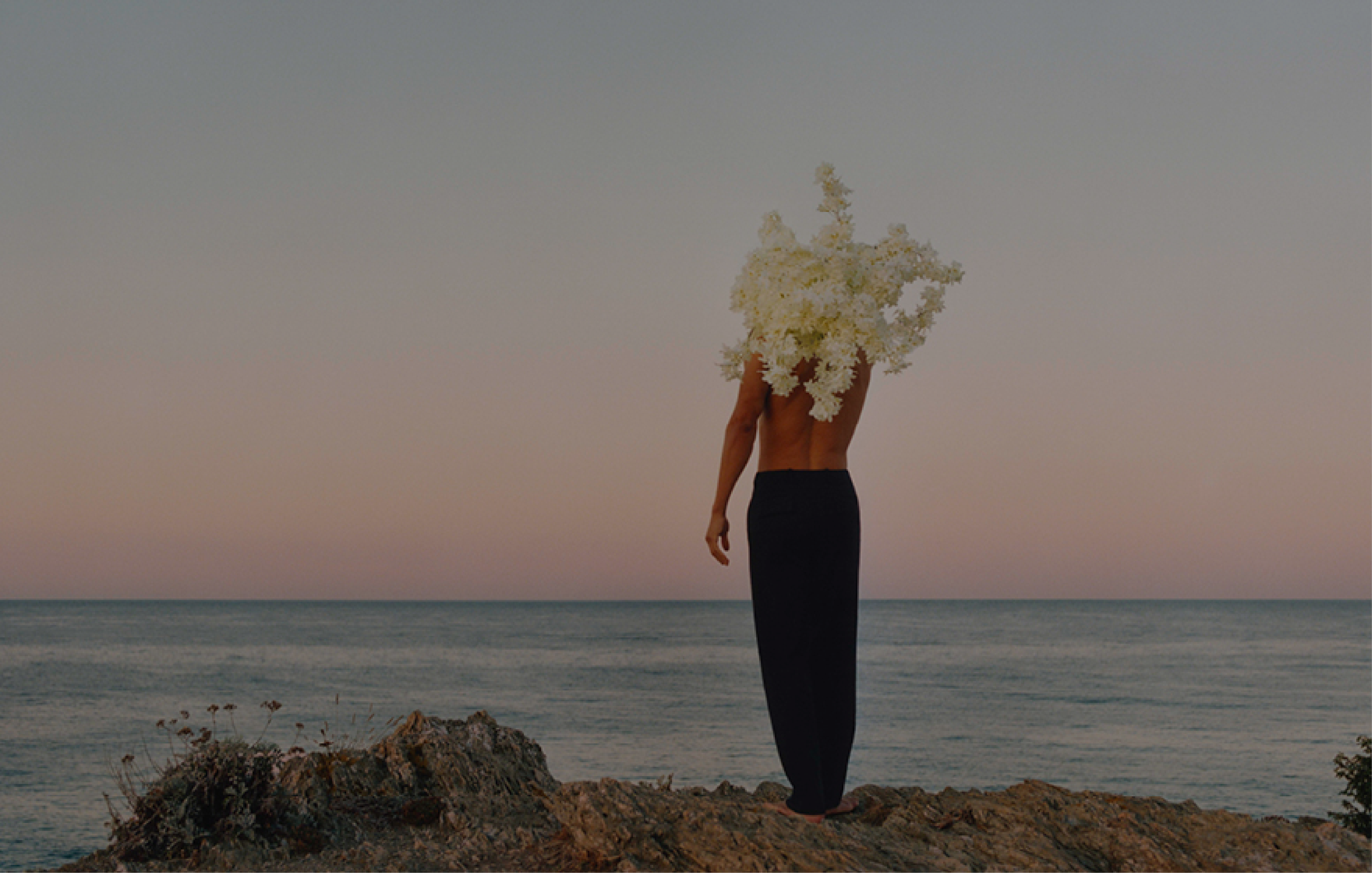 FRAGRANCE_WOF_VISUAL_16_PAID_8