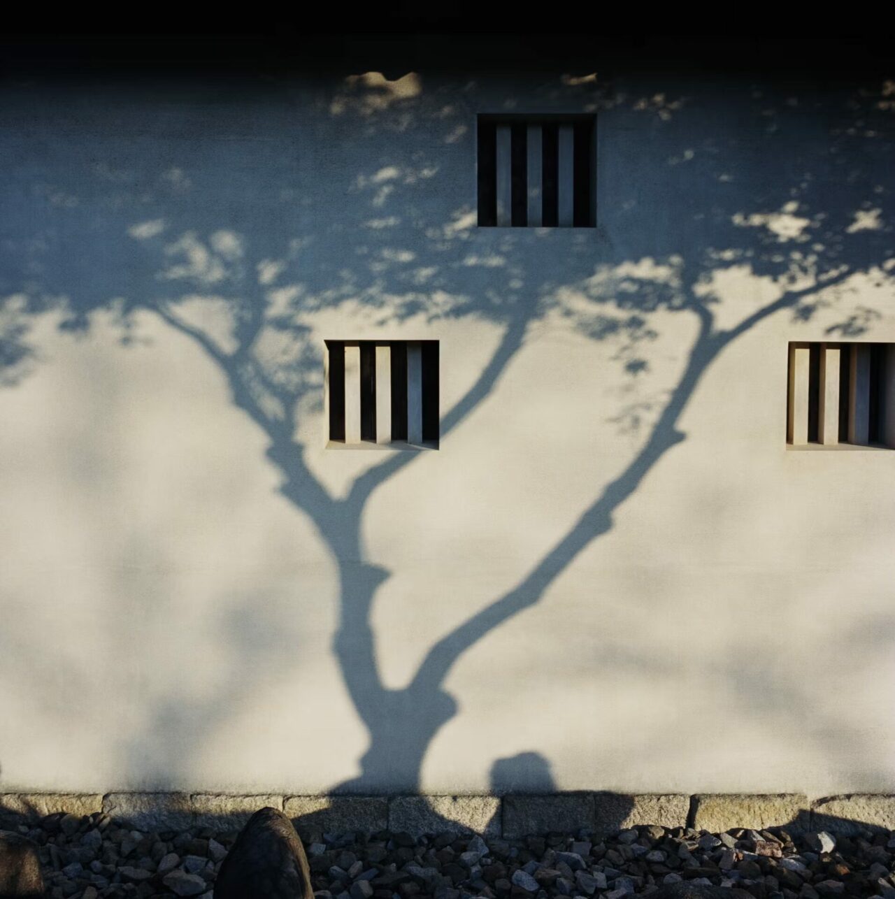 Fran&ccedil;ois Halard: The photographer capturing the intimacy of the home interior | 11