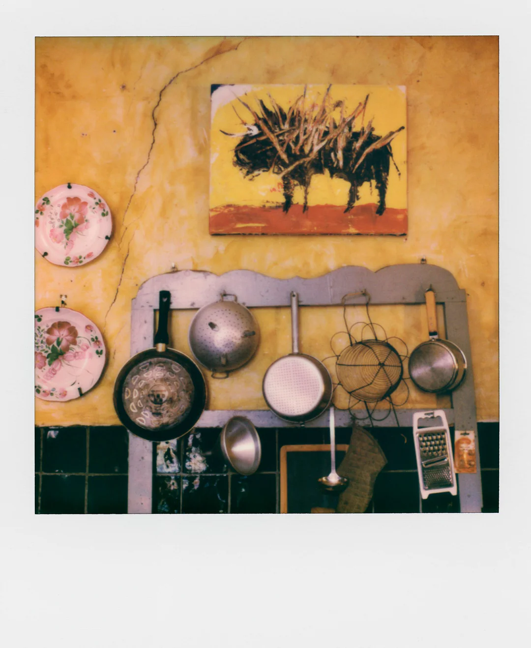 The Interview: Fran&ccedil;ois Halard | 12