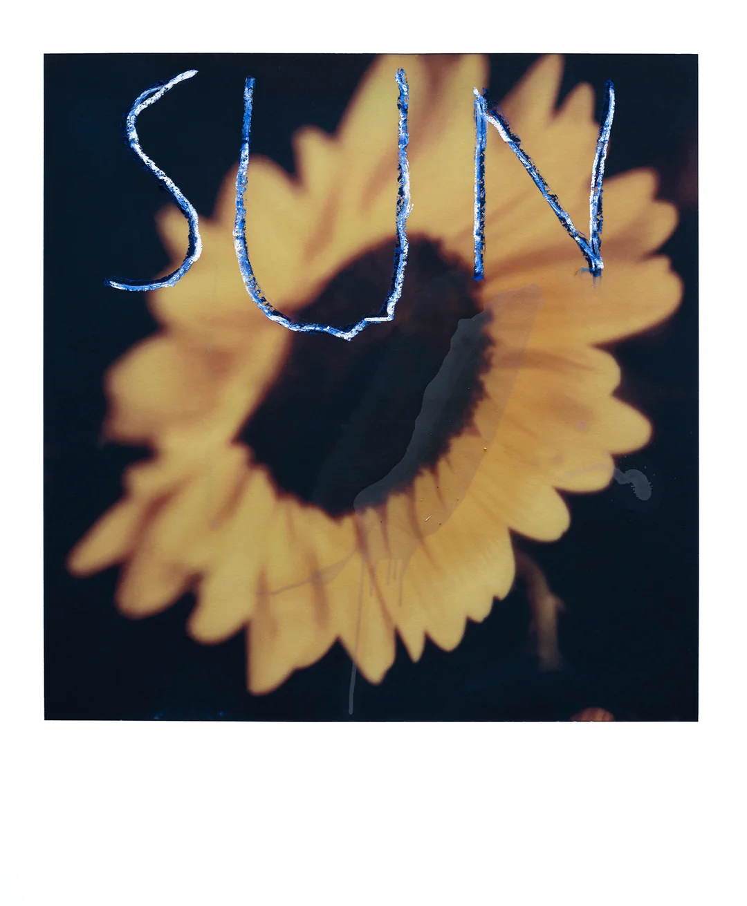 The Interview: Fran&ccedil;ois Halard | 9