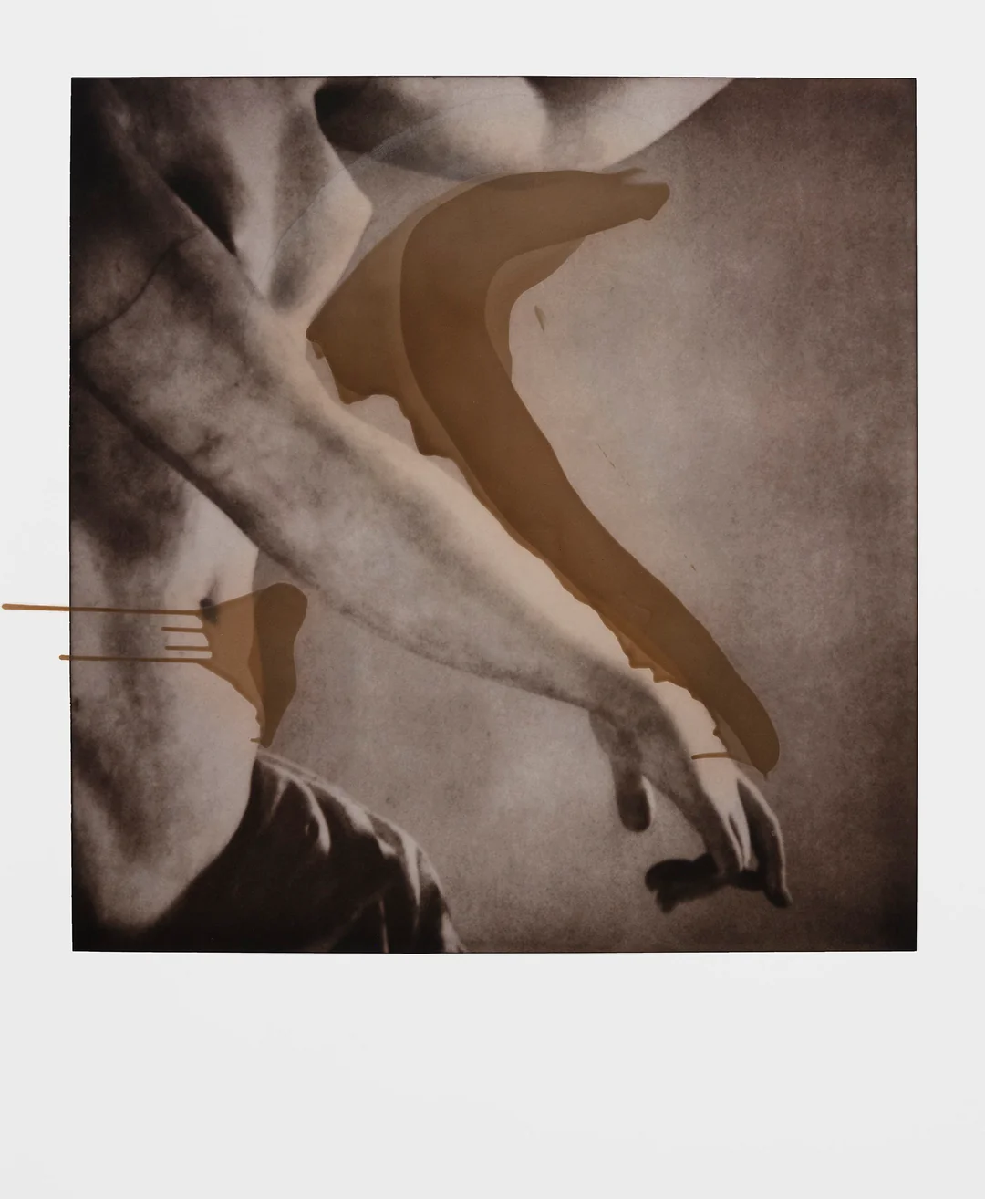 The Interview: Fran&ccedil;ois Halard | 8