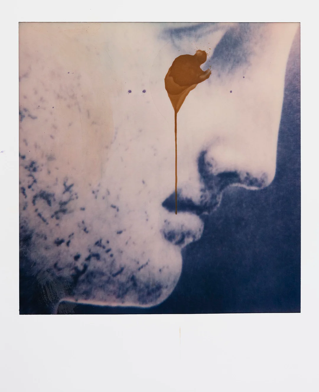 The Interview: Fran&ccedil;ois Halard | 6