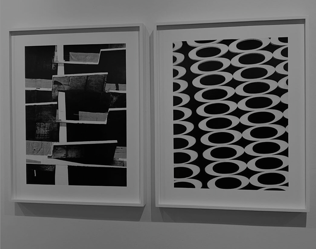 robinbeebecce_1724531620_3441943160744869094_401172104 (1) copy