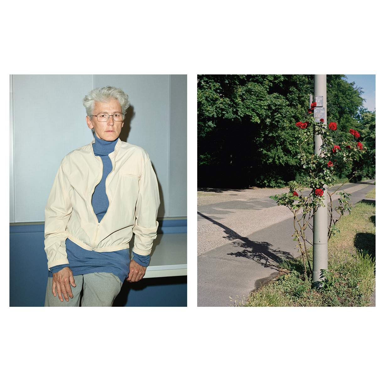 David Bradshaw | POP MAGAZINE | 8