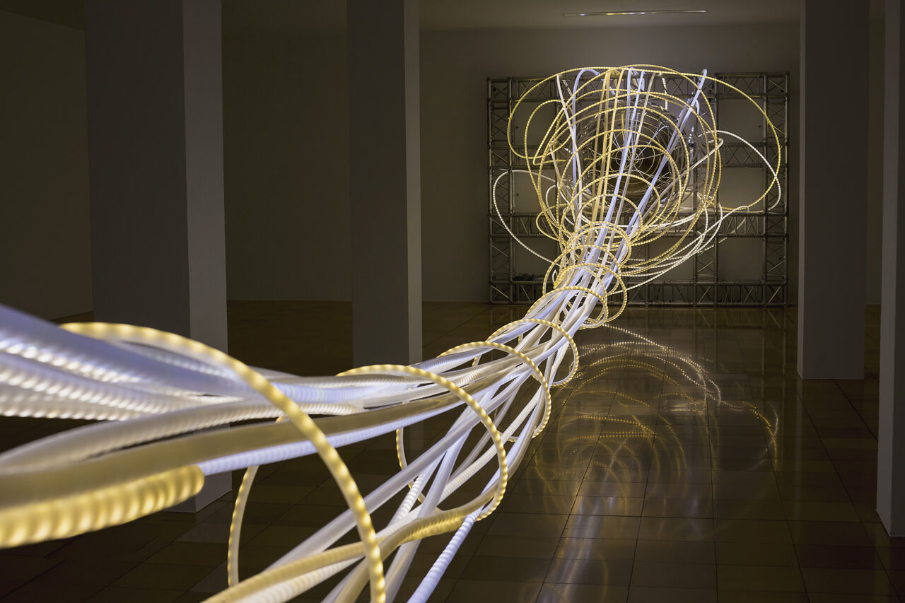 OCUPANTE, Ludwig Museum, Germany - grimanesa-amoros-ludwig-museum-ocupante-10