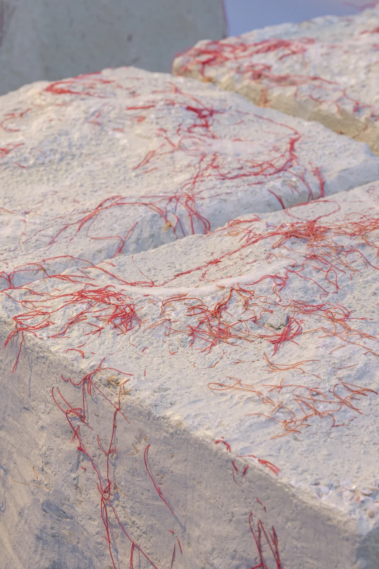 Patricia Urquiola reveals an imaginative inner world in ‘Meta-Morphosa’ | 6